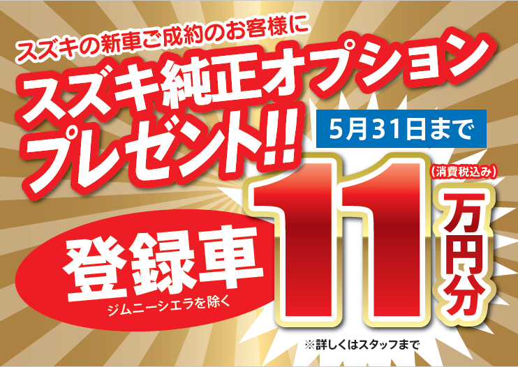 オプションプレゼント１１万円