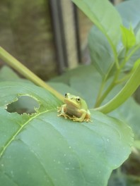 涼しいところへ…。