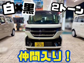展示車が変わりました！