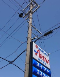 電柱にカラスが巣作りを始めたので・・・
