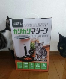 とうとうカリカリマシーンを買ってしまいました