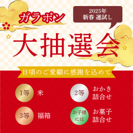 新春ガラポン抽選会開催