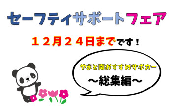 セーフティサポートフェアは24日まで！～おすすめサポカー総集編～