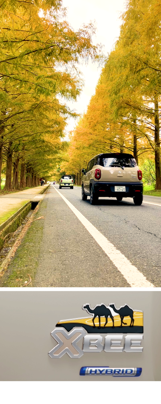 キャラバンアイボリーパールメタリックブラックタフ2トーンフォト