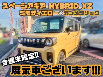 ミモザイエロー×ガンメタリック　スペーシアギアございます