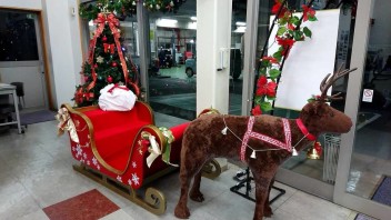 今年もクリスマス飾り　始めました！