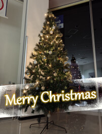 クリスマスツリー出しました！