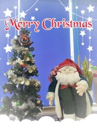 メリークリスマス★！今年もやってきました（＾０＾）