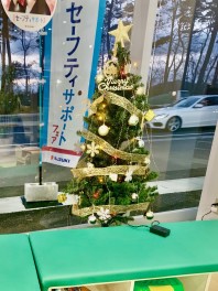 Xmasツリー飾りました