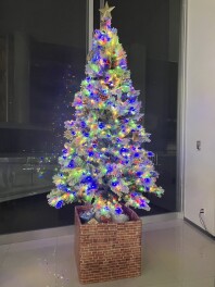 クリスマスツリー登場！