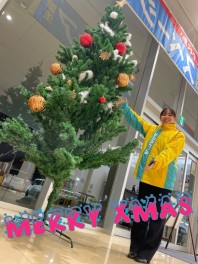 クリスマスツリーを出しました