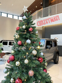 クリスマスが今年もやってくる！ツリー解禁！