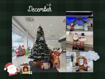 ショールームがクリスマス仕様に！！！