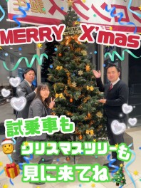 お店がクリスマス仕様に☆☆