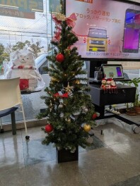 クリスマスツリー買いました
