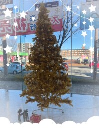 クリスマスツリー★