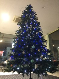 毎年恒例のクリスマスツリーが完成！！！