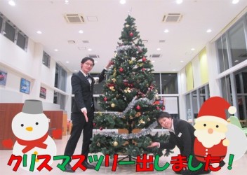 ついに！クリスマスツリー登場！！