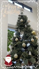 クリスマスツリー飾りました☆