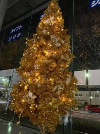 クリスマスツリーみてください～！