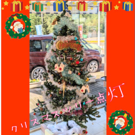 ★☆クリスマスツリー点灯☆★