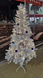 クリスマス仕様になりました(*‘ω‘ *)