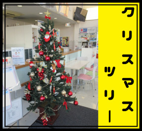 クリスマスツリー設置！