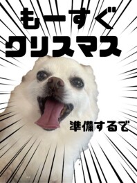 クリスマス準備に向けて
