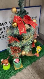 クリスマスの飾りつけを行いました