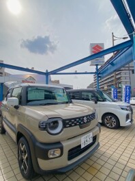 ★特別金利★３月ももうすぐ終わりです！