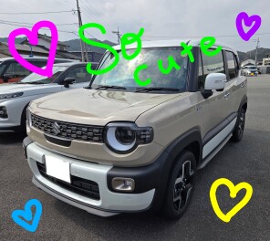 自分好みの新型クロスビー ホワイトスタイルに♬