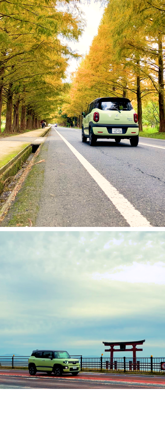 クールイエローメタリックガンメタリック2トーンルーフ_フォト