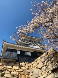 新型コロナウイルスに負けない！！