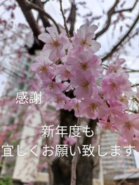 ♪♪下期大決算ご参加ありがとうございました♪♪