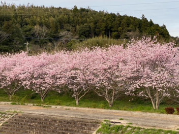 令和４年度も宜しくお願いします
