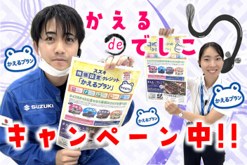 かえるdeでしこキャンペーン!!!!!!!!!!!!