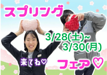 ！！スプリングフェア！！