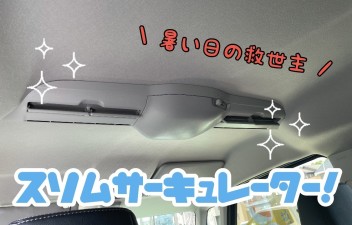 暑い夏の強い味方！