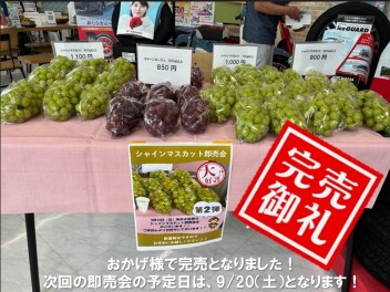 連休２日目ありがとうございます！シャインマスカットも完売しました！