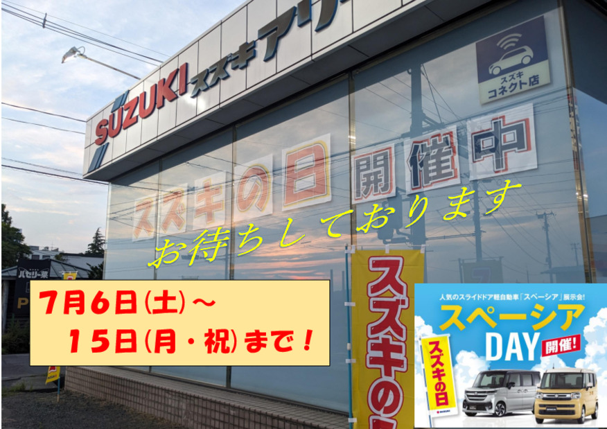 今日からスズキの日始まりました！