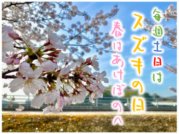 今年度初のスズキの日！