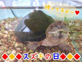 楽しい週末！
