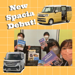 ALL NEW！