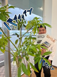 ☆新型ワゴンＲスマイル発売☆