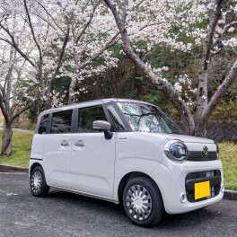 ☆FOOKSブログリレー☆ワゴンＲスマイルで桜スポット紹介！