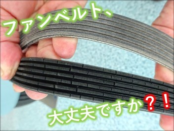 【週末はスズキの日☆】夏の準備はできていますか？～～～ファンベルト編～～～