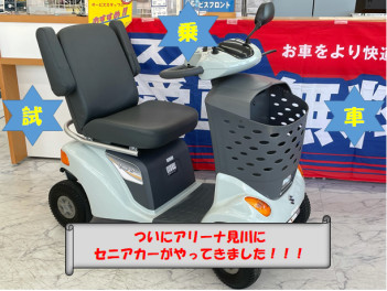 アリーナ見川に新しい仲間が、、、