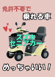 セニアカーめっちゃいい！！