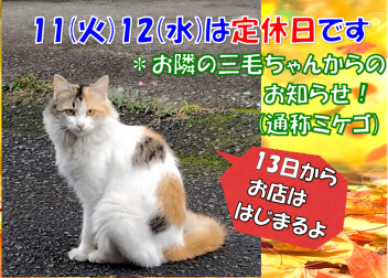 定休日のおしらせ！