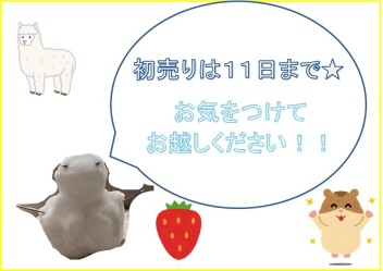 初売りは１１日まで！！お得な機会に是非ご来店ください★